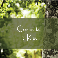 Trees Are Key Curiosity is Key Trees Are Key Curiosity is Key